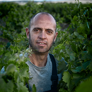 MicroBioWines