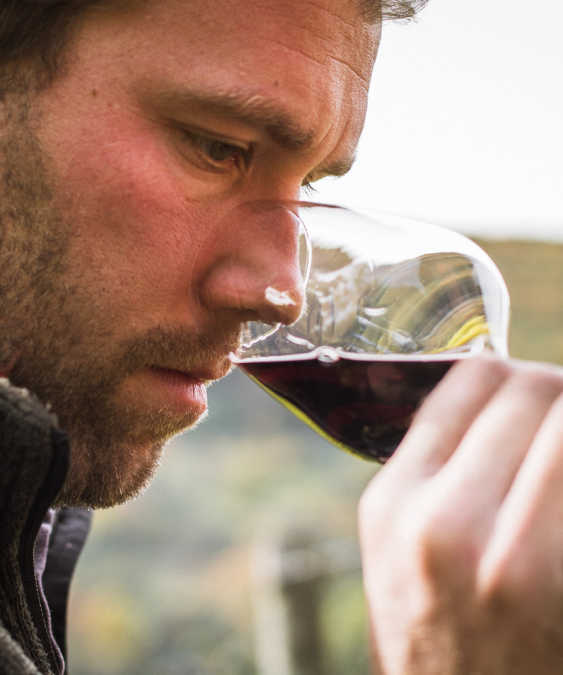 Weingut Leon Gold