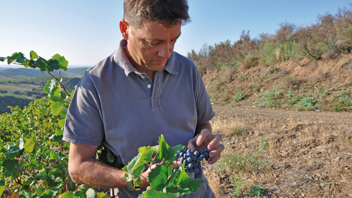 Domaine Saint Antonin