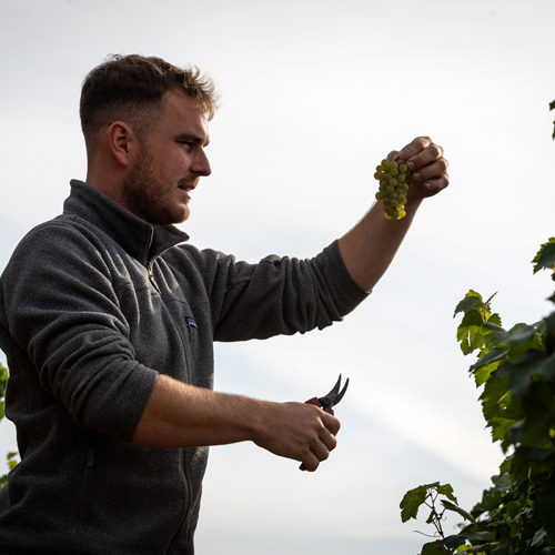 Weingut Kissinger