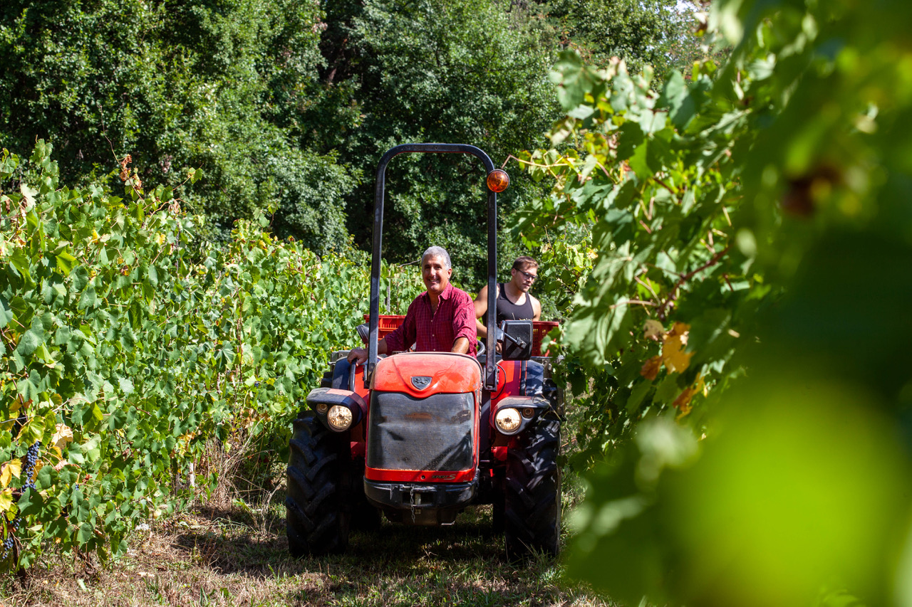 Societa Agricola Malgiacca